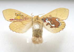  /><br /><span style=