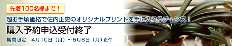 購入予約申込受付終了!