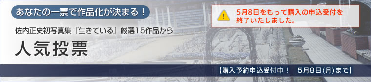 Ȃ̈[ōi܂I@lC[