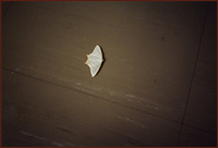 엲 ʐ^i '04/06/05