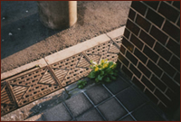 엲 ʐ^i '03/09/09