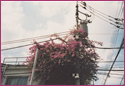 엲 ʐ^i ¸04/07/27