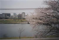 엲 ʐ^i ’07/03/31