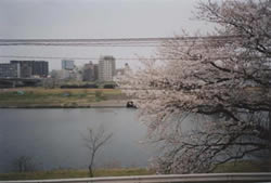 엲 ʐ^i '07/03/31