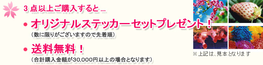 3_ȏゲw... IWiXebJ[Zbgv[gIiɌ肪܂̂Ő撅j@Iivwz30,000~ȏ̏ꍇƂȂ܂j