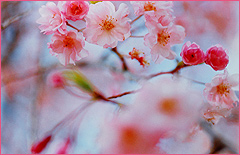 吐 ŉi  3