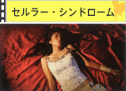 LOEiX́`A^̎ႫpYa`