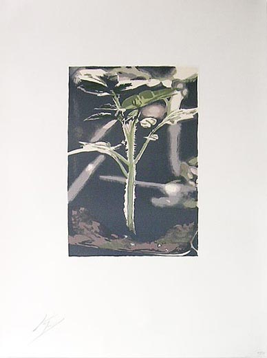 ジーン（遺伝子）