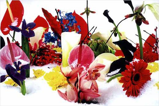 ウインター・ガーデン #2