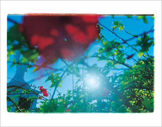 BABY BLUE SKY - 1