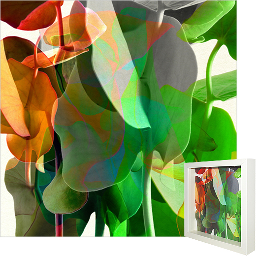 Leaf_01