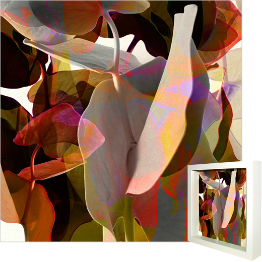 Leaf_03