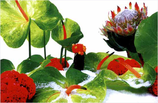 ウインター・ガーデン #4