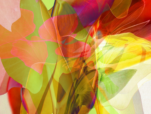 Leaf_09
