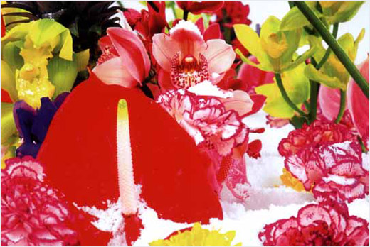 ウインター・ガーデン #7