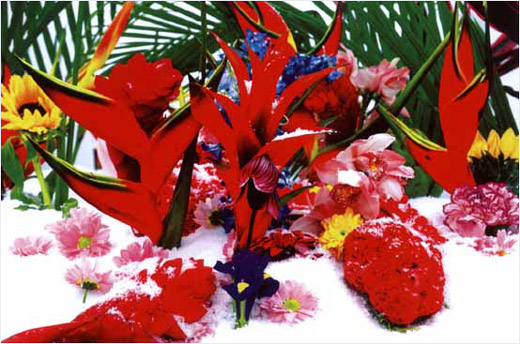 ウインター・ガーデン #8