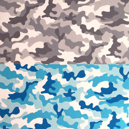 カモフラージュ Camouflage