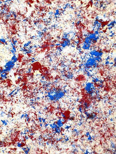 Red & Blue Dance