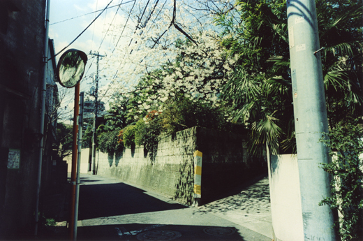 Dim Sight #008