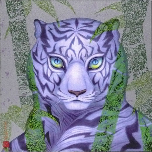 虎視-光-