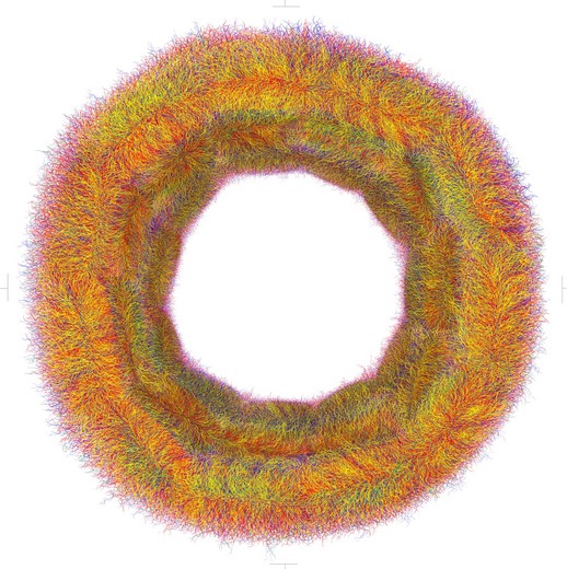 穴