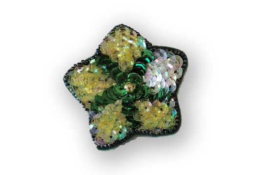 キラキラ星(大)