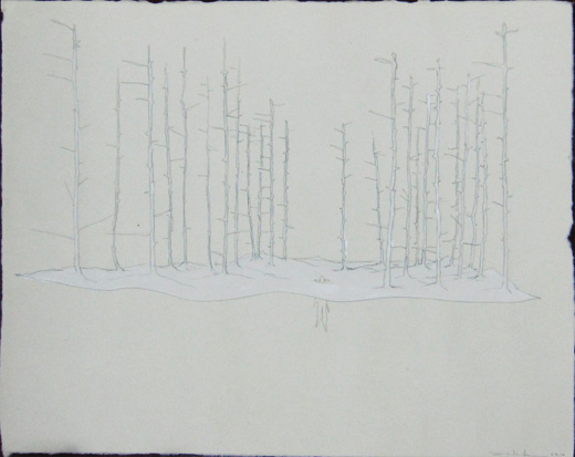Wald aus Wald 004