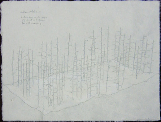 Wald aus Wald 006