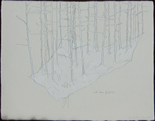 Wald aus Wald 007