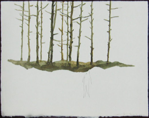 Wald aus Wald 008