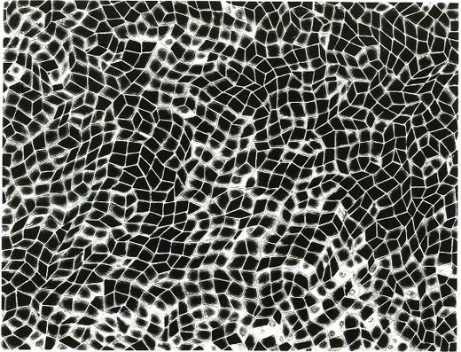 インフィニティネット 1953-1984 (49)