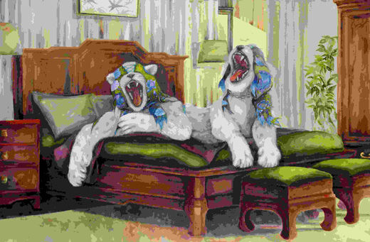 These two are stuck together and we can't separate them