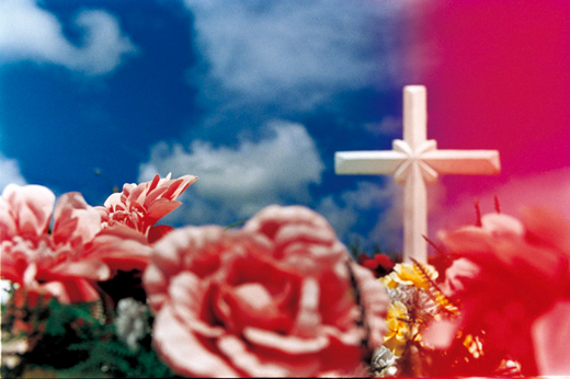 永遠の花－50 （B2サイズ48.5×72.8ｃｍ）