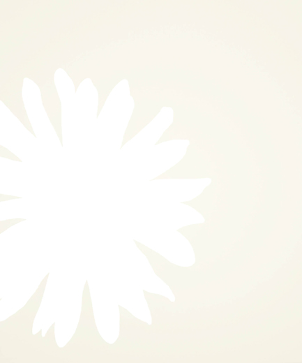 キミトミタハナ　終わり