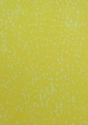 レ モ ン   Citron