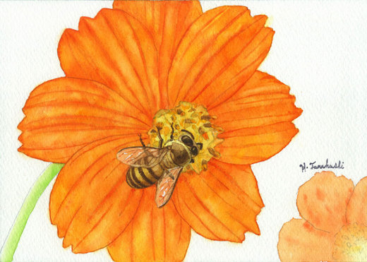 Bee1