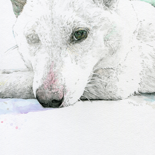 Powdery Snow
