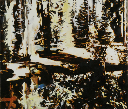 spirit　photographs