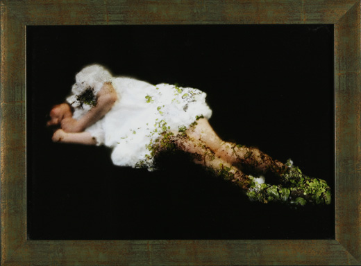 雪の庭 works no.01