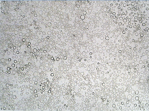 ドッツ　アキュミレーション