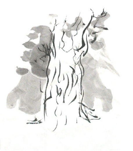 屋久島 / 日本 / 1993年登録