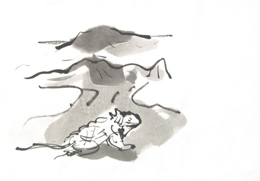 ガラパゴス諸島 / エクアドル / 1978年登録