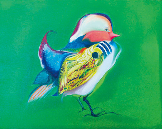 鳥類