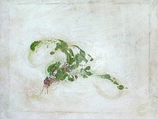 カブトメデューサ