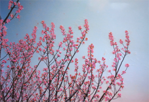春爛漫