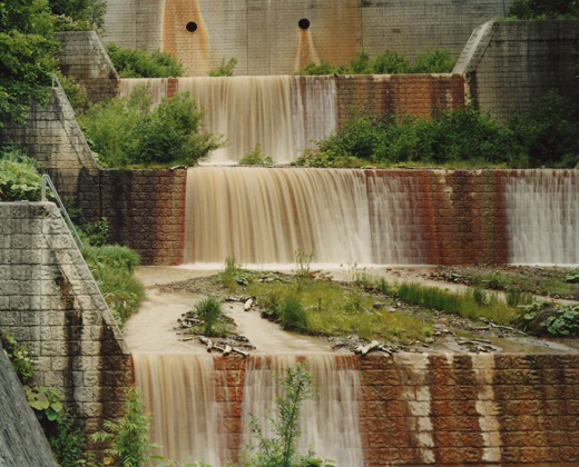 for Gray(特装版) NO.5