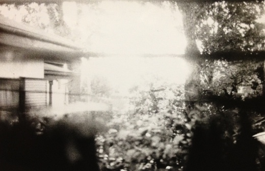 陽光