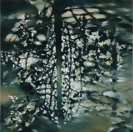 蒐集物は水の底