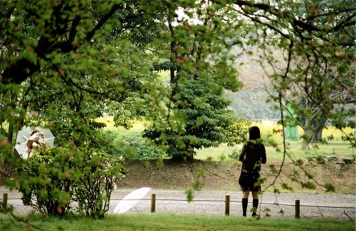 Untitled (Umbrellas)