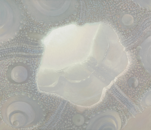 36.64,the other side